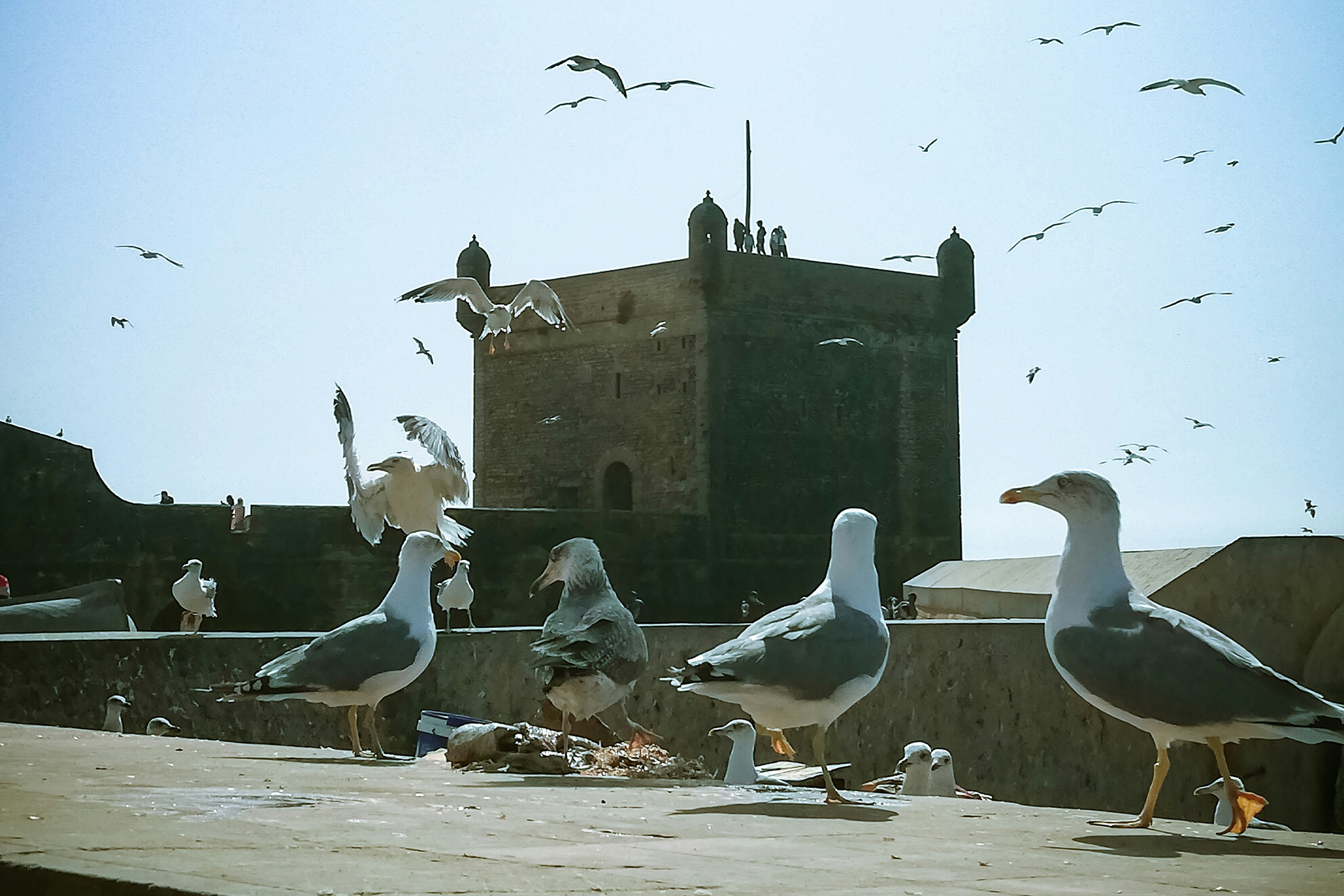 Morocco _0015_mostapha-abidour-CYrFliaY0F0-unsplash